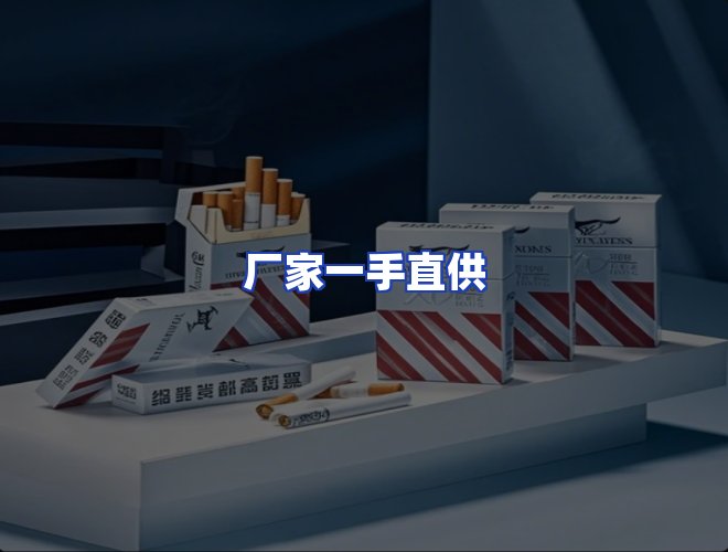专业团队